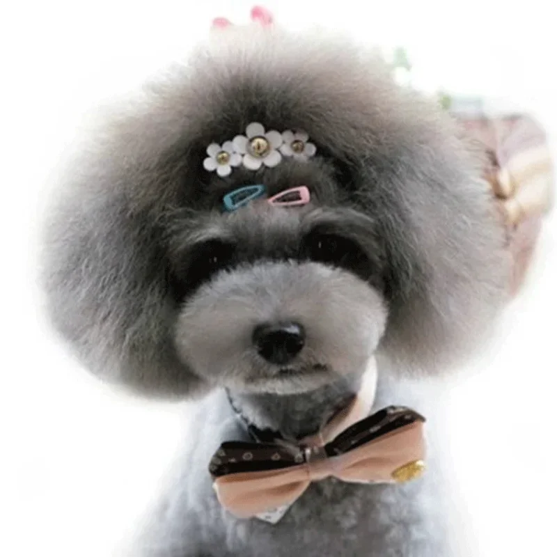 دبوس شعر كوري صغير ملون للأطفا - مراجعة Vintage Fashion Doll وسعره